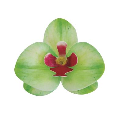BOX OF 10 EDIBLE GREEN WAFER ORCHIDS