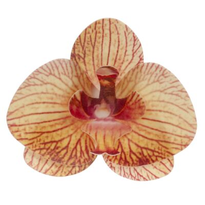 BOX OF 10 EDIBLE ORANGE WAFER ORCHIDS