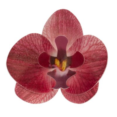 BOX OF 10 EDIBLE BURGUNDY WAFER ORCHIDS