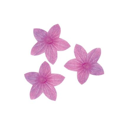 BOX OF 400 VIOLET WAFER LILAC - EDIBLE FLOWERS