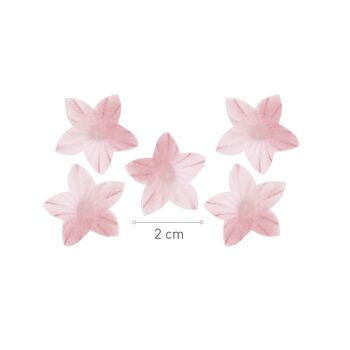 BOITE DE 400 LILAS AZYME ROSE - FLEURS COMESTIBLES 2