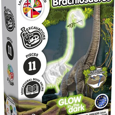 Fossilienausgrabungen für Kinder – Im Dunkeln leuchtender Brachiosaurus