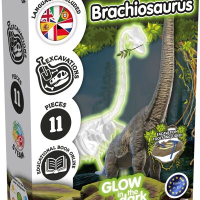 Fossilienausgrabungen für Kinder – Im Dunkeln leuchtender Brachiosaurus