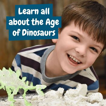 Fouilles fossiles pour les enfants - Stégosaure qui brille dans le noir 5