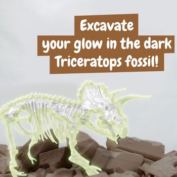 Fouilles fossiles pour les enfants - Tricératops qui brille dans le noir 3