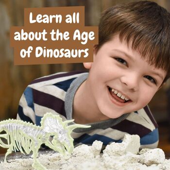 Fouilles fossiles pour les enfants - Tricératops qui brille dans le noir 5