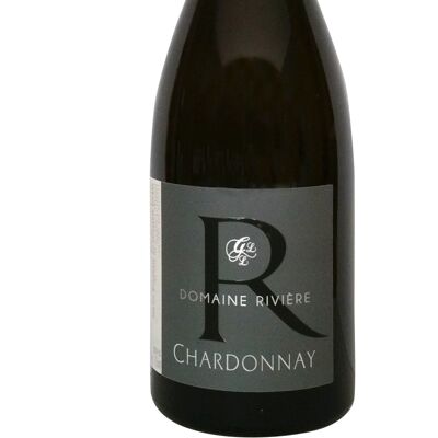 Beaujolais Blanc "Chardonnay Pierre Dorées" 2023