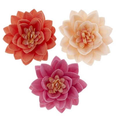 BOX OF 15 WAFER LOTUS FLOWERS 3 COLORS Ø 7CM