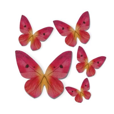 CAJA DE 79 MARIPOSAS DE OBLEA TONOS ROSAS 3-6CM