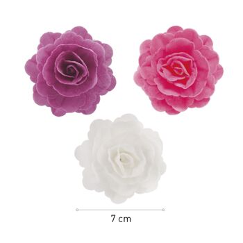 BOITE DE 15 ROSES AZYME COULEURS ASSORTIES Ø 7CM 2