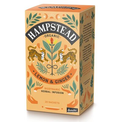 Hampstead Tea Bio-Teebeutel mit Zitrone und Ingwer