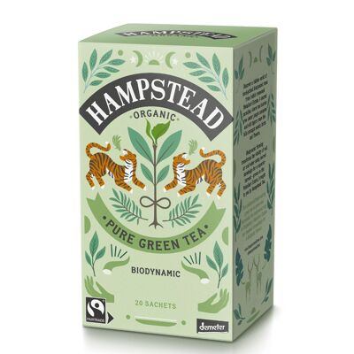 Bustine di tè verde biologico del commercio equo e solidale di Hampstead Tea