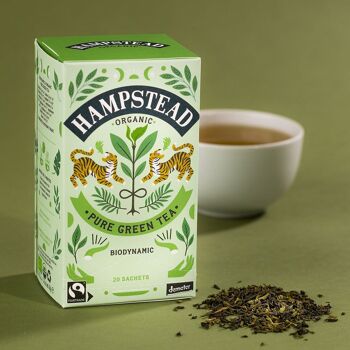 Sachets de thé vert biologique et équitable Hampstead Tea 2