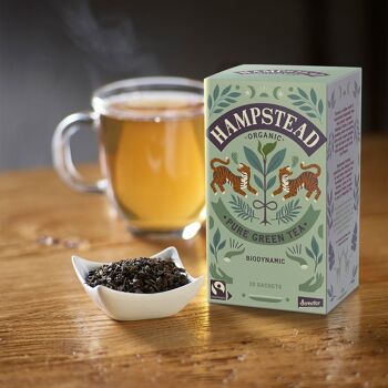 Sachets de thé vert biologique et équitable Hampstead Tea 3