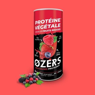 VEGETABLE PROTEIN RED FRUITS