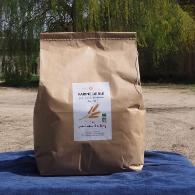 ORGANIC Wheat Flour - Bise T80 - 5 kg