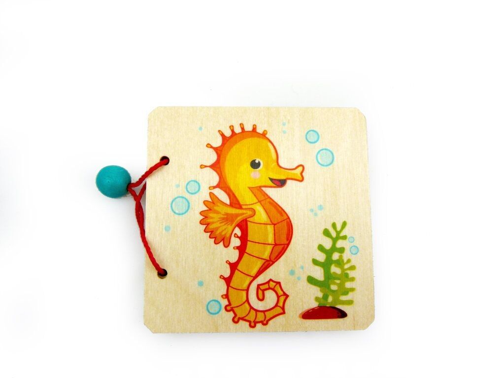 Libro ilustrado de caballitos de mar.