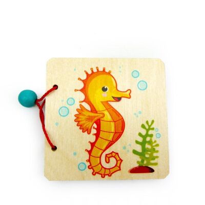 Picture book seahorses