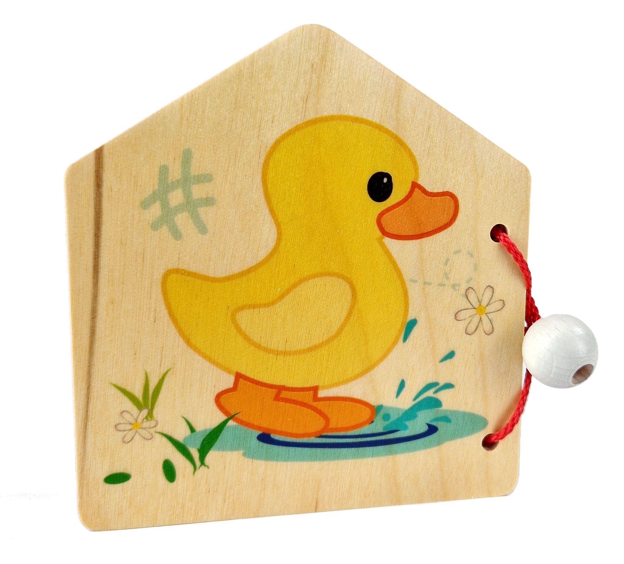 Libro illustrato, topi