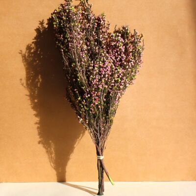 Bouquet of preserved heather - 35-40cm - Pink-Green