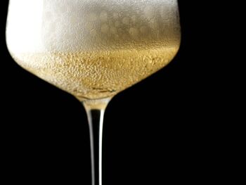 Champagne Brut Blanc de Blancs 'Gérard Lassaigne' - Une bouteille de 75cl 2