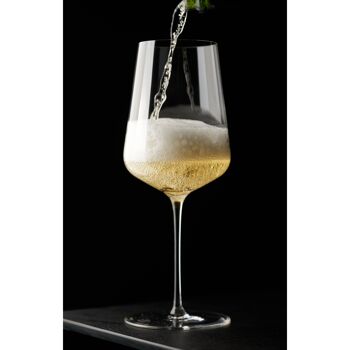 Champagne Brut Blanc de Blancs 'Gérard Lassaigne' - Une bouteille de 75cl 3