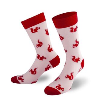 Chaussettes écureuil de PATRON SOCKS - CONFORTABLES, ÉLÉGANTES, UNIQUES ! 1