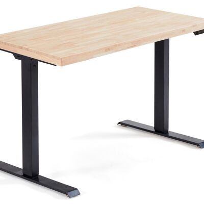 MOTORIZED ELEVABLE DESK / OFFICE TABLE STAND 120 x 60 CM NORDISH / BLACK. OK1526
