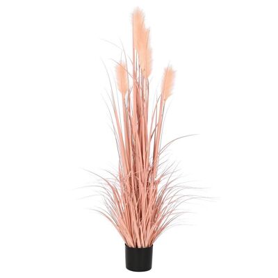 PLANTE PVC PE 45X45X150 CORAIL DUSTER JA209878