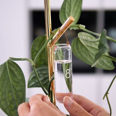 Air Branch - Modular plant support system