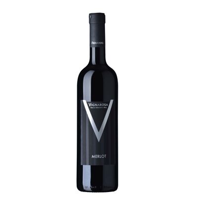 Merlot Igt red wine Marca Trevigiana