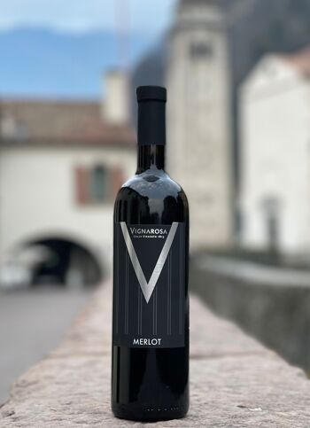 Merlot Igt vin rouge Marca Trevigiana 3