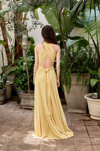 Robe maxi 43