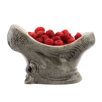 Hungry Hippo Bowl