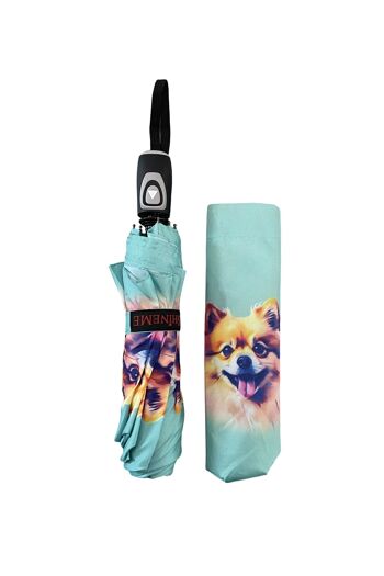 Parapluie imprimé chien de Poméranie (court) - Multi 2