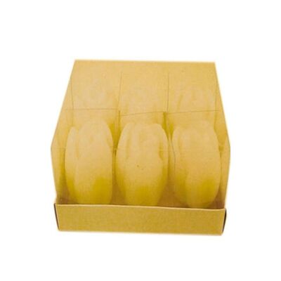 SET OF 6 WHITE CANDLES "TULIPS" CANDLES IN BOX CA-034 WHITE