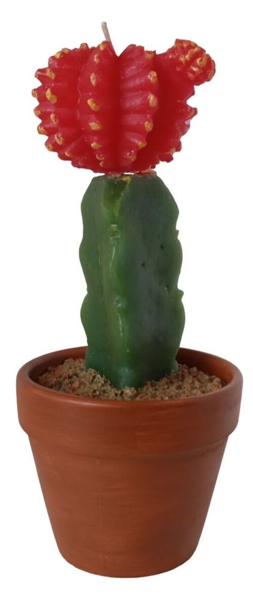 "CACTUS" CANDLE IN CERAMIC POT DIMENSION: 8x18cm CA-054