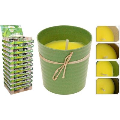 Mostrar velas aromáticas de citronela