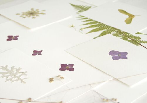 Lot de 10 herbiers • format carte A6 • fleurs & feuillages variés | tarif dégressif