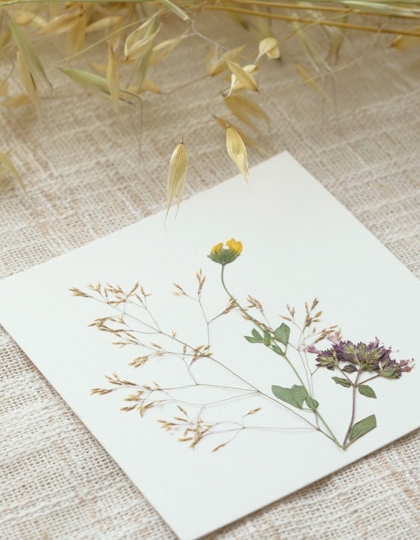 Blumenherbarium „Sommerparfüm-Bouquet“ • 10x10 cm Karte