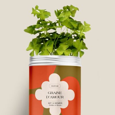 Sowing kit - Seed of love