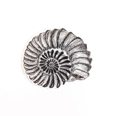 Autocollant en papier écologique ammonite