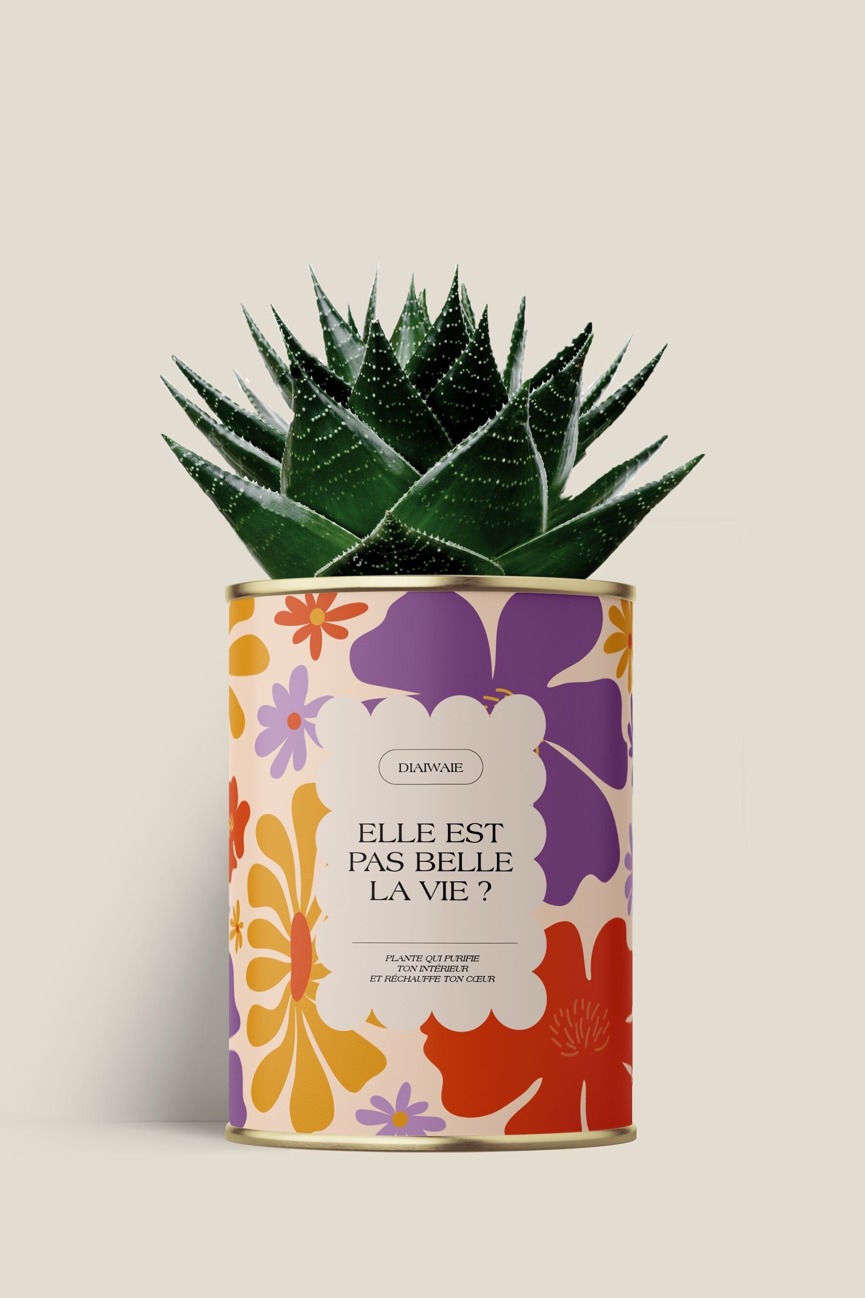 Isn't life beautiful? - Cactus / Aloe