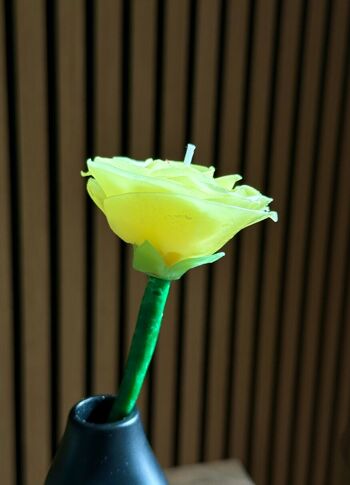 Bougie Fleur ⎪La belle Rose (avec tige) 4