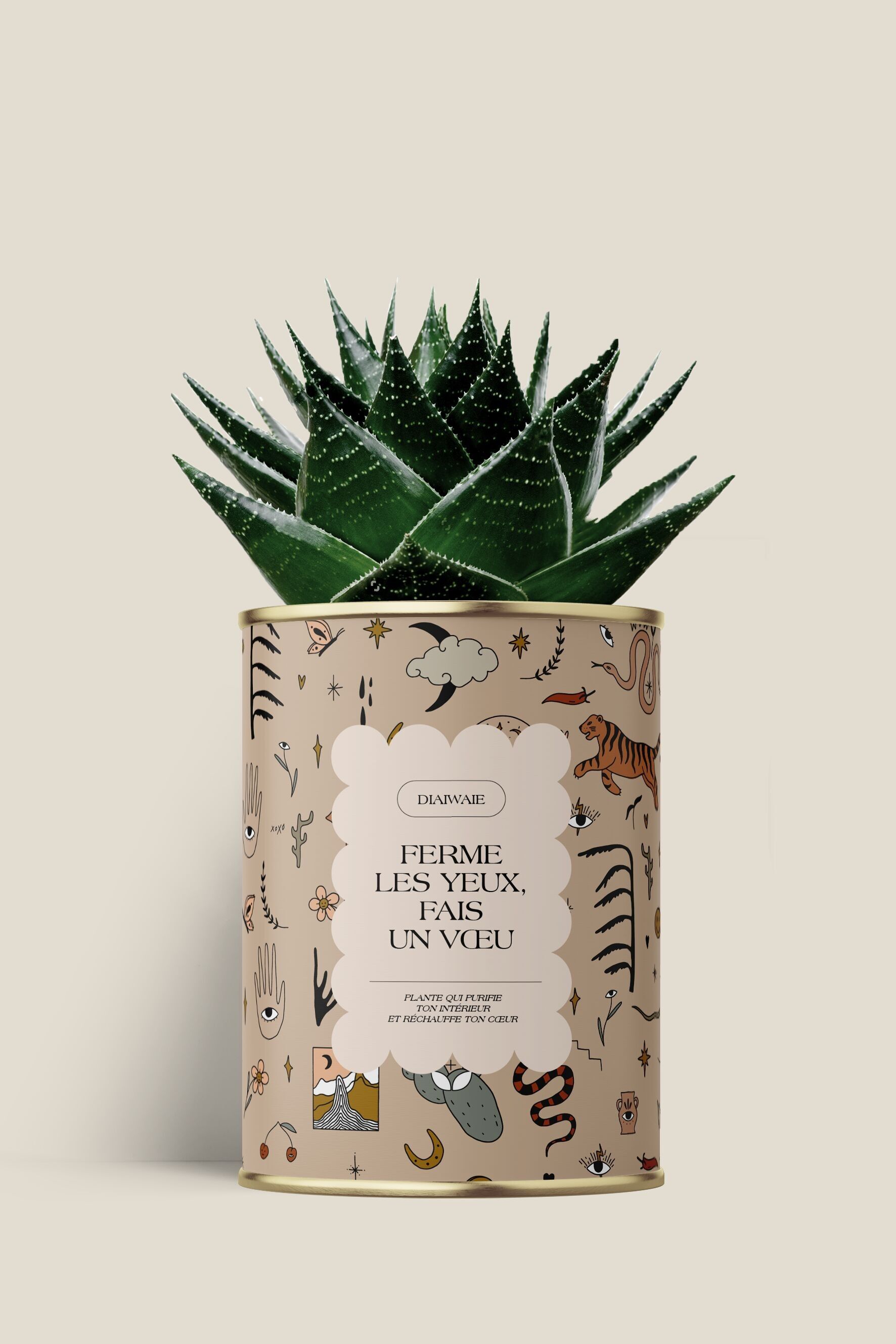 Close your eyes make a wish - Cactus / Aloe