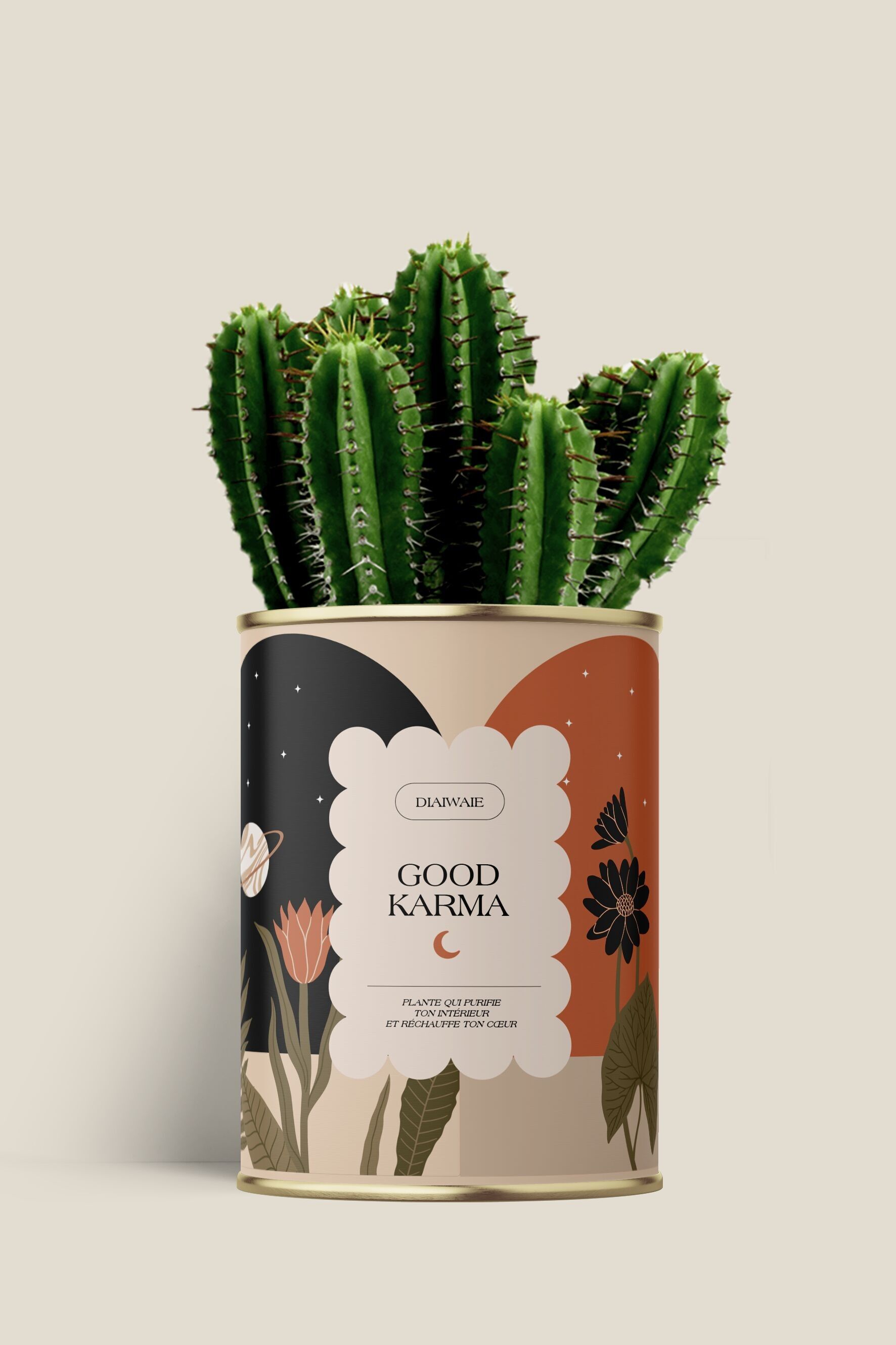 Good Karma - Cactus / Aloe