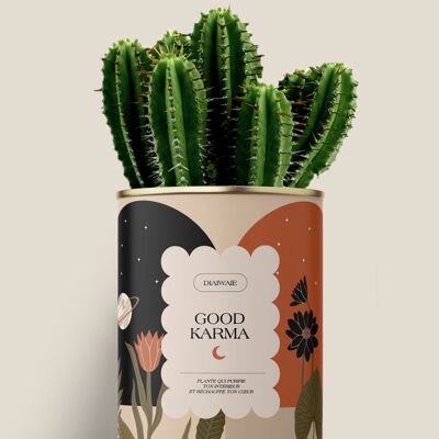 Gutes Karma - Kaktus / Aloe