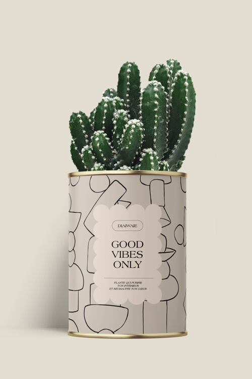 Good vibes only - Cactus /Aloé
