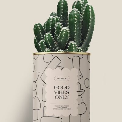 Solo buone vibrazioni - Cactus/Aloe