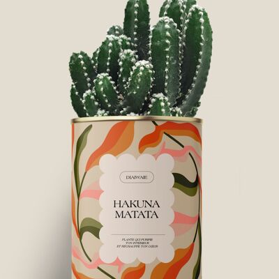 Hakuna Matata - Cactus / Aloe